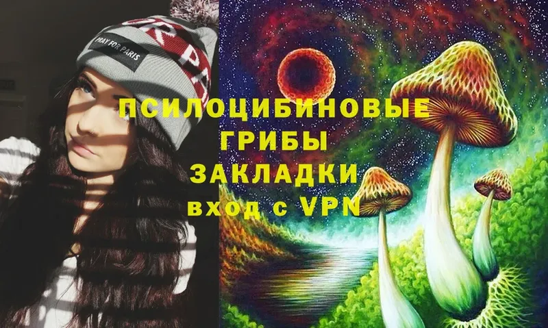 это как зайти  Октябрьский  Псилоцибиновые грибы Cubensis 